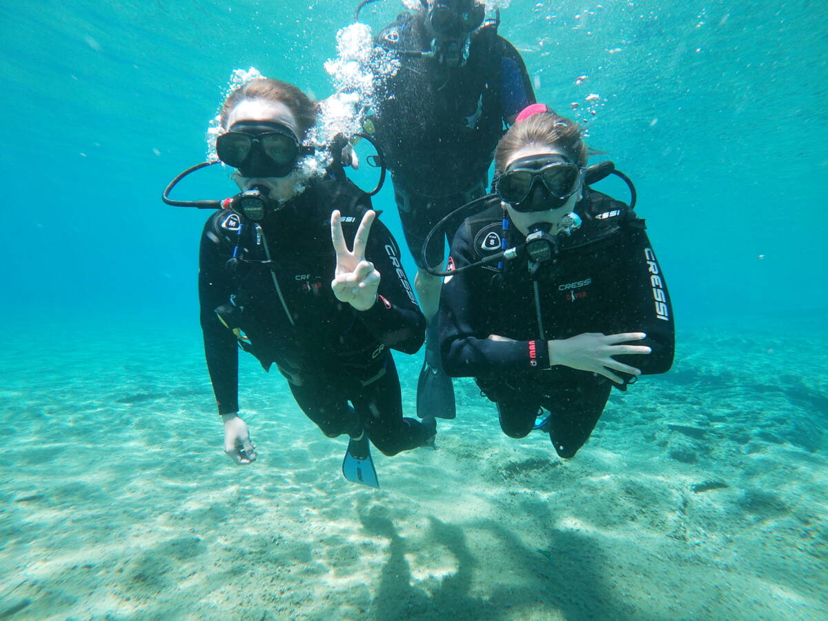 diving agia pelagia